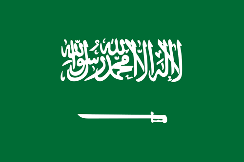 Saudi Arabia National Flag PrepXperts Online Academy